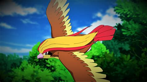 pokemon ash shiny pidgeot.